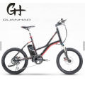 20 Inch Cheaper Mini Kid Boys Small 250 Watt PAS Electric Bicycle